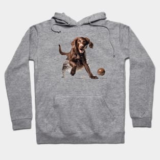 Irish Setter Hoodie